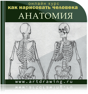 Как нарисовать все что угодно, как научиться рисовать, как научиться ...